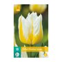 Tulpenbollen Flaming Agrass (zakje van 10 stuks)